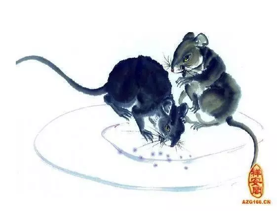 家裡有屬鼠的人嗎？請為他們轉走！*迷信一回吧*！